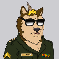 Wolf #347