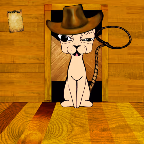sphynx cowboy