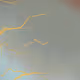 301