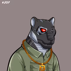 207