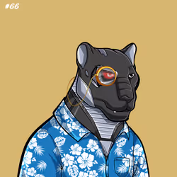 66