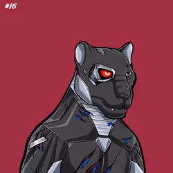 16