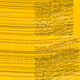 1017254637