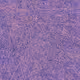 592148653