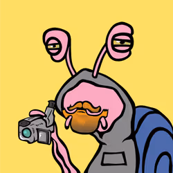 276