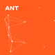 AnT