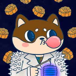 BAMC x Super Shiba #221