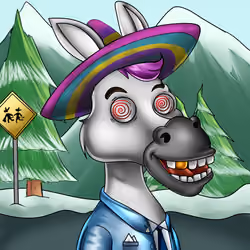 Sombrero Donkey #420