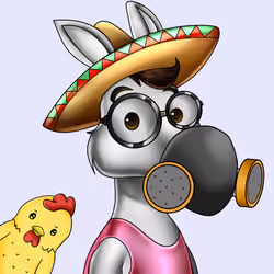 Sombrero Donkey #2656