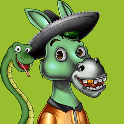 Sombrero Donkey #55