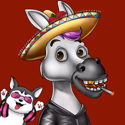 Sombrero Donkey #478