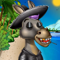 Sombrero Donkey #902