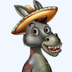 Sombrero Donkey #898
