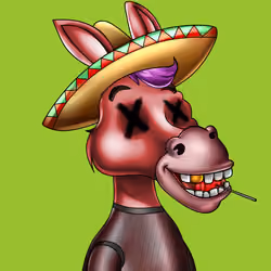 Sombrero Donkey #2105