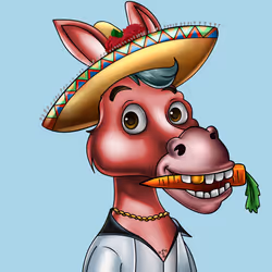 Sombrero Donkey #2947