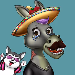 Sombrero Donkey #2024