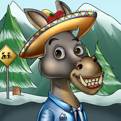 Sombrero Donkey #1461
