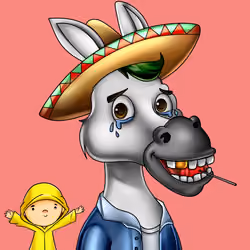 Sombrero Donkey #417