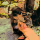 41