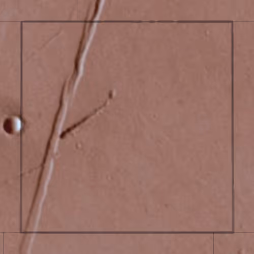 Mars4 Nft Lands