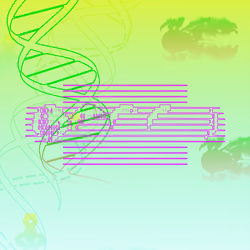 Mutagen #2088