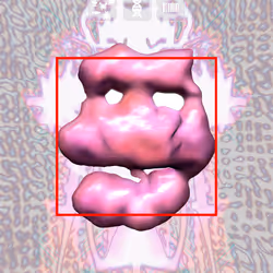 57
