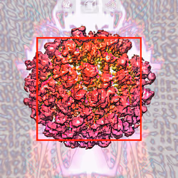 56