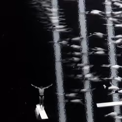 Formation.
