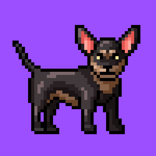 Crypto Dogs Collection