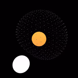 81