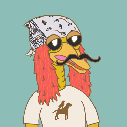 Birddog70