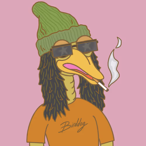 Birddog70