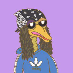 80