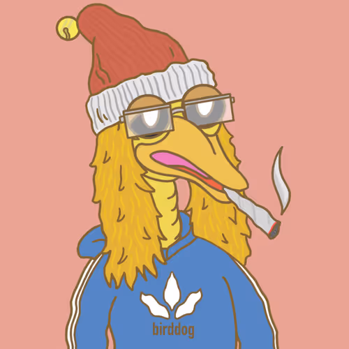 Birddog70