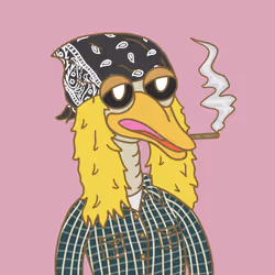 66