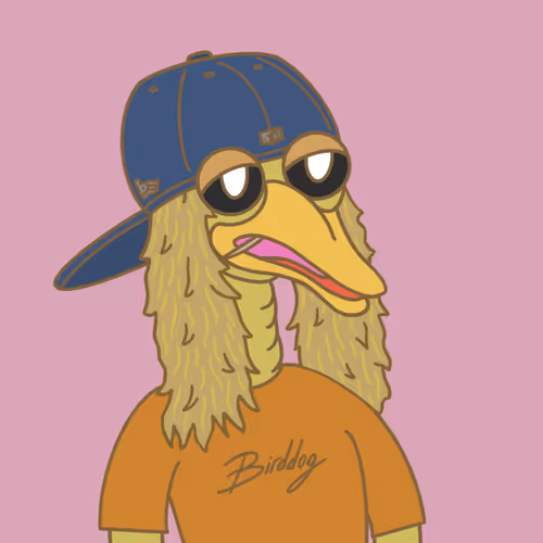 Birddog70