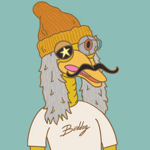 Birddog70