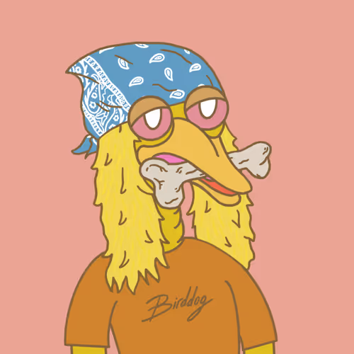 Birddog70