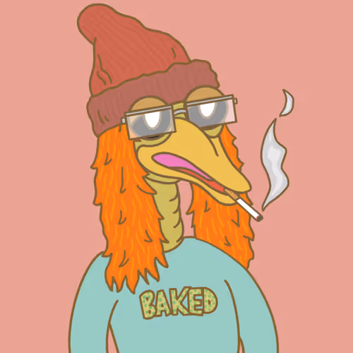 Birddog70