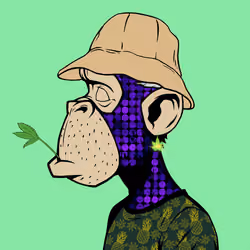 0xGREEN #523