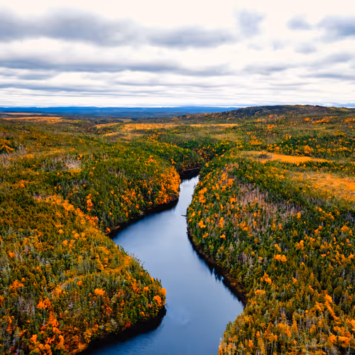 Split By Ashton Tekno Persaud