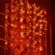 302-650 Lustrous Illumination, Transcendent Glow