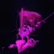 12000333