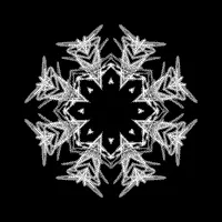 🎵 Imaginary Inclination