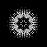 🎵 Disassembled Spontaneity