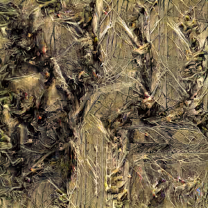 Item #3000256 Media