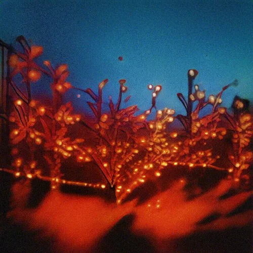 Item #24000239 Media