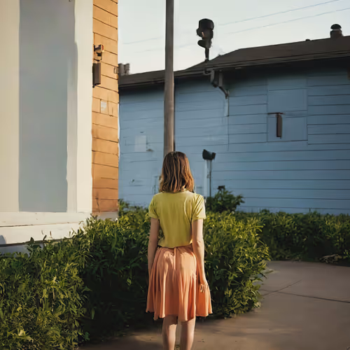 Life In West America By Roope Rainisto