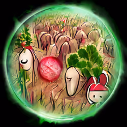 They're Radishes