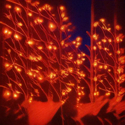 Item #24000263 Media